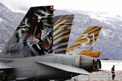 jpo meiringen 23-03-07144