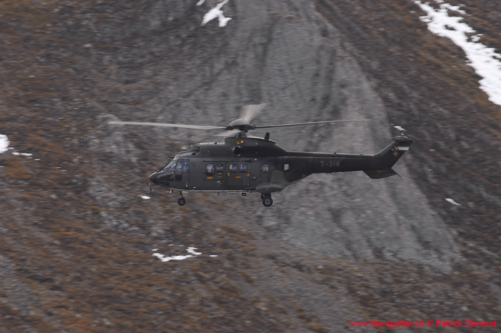 axalp-09-10-310