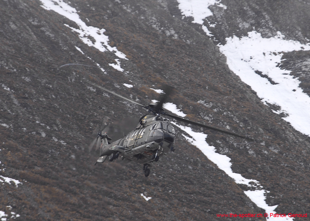 axalp-09-10-311