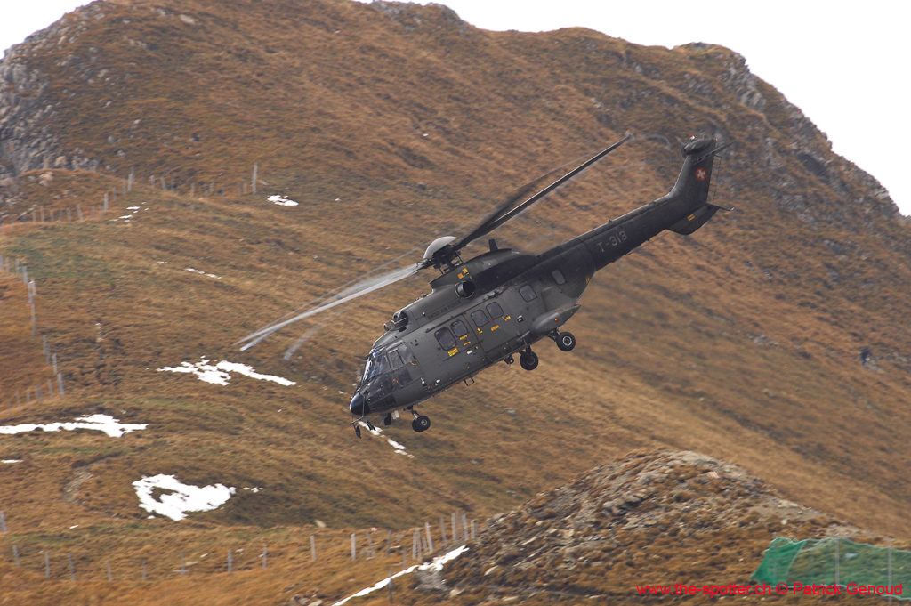 axalp-09-10-313