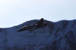 axalp-09-10-136
