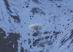axalp-09-10-159