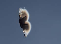 axalp-09-10-231