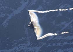axalp-09-10-292