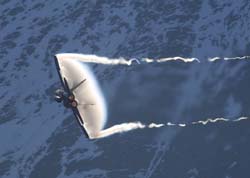 axalp-09-10-294
