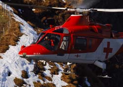 axalp-09-10-304