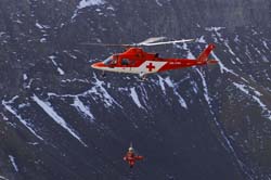 axalp-09-10-305