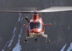 axalp-09-10-307