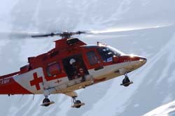 axalp-09-10-308