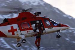 axalp-09-10-309