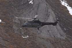 axalp-09-10-310