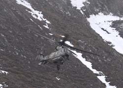 axalp-09-10-311