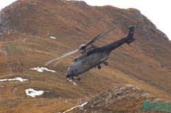 axalp-09-10-313