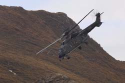 axalp-09-10-315