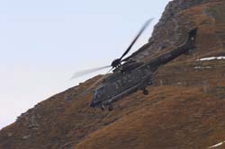 axalp-09-10-316