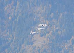 axalp-09-10-319