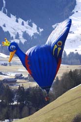 ballon-chx-26-01-08-135