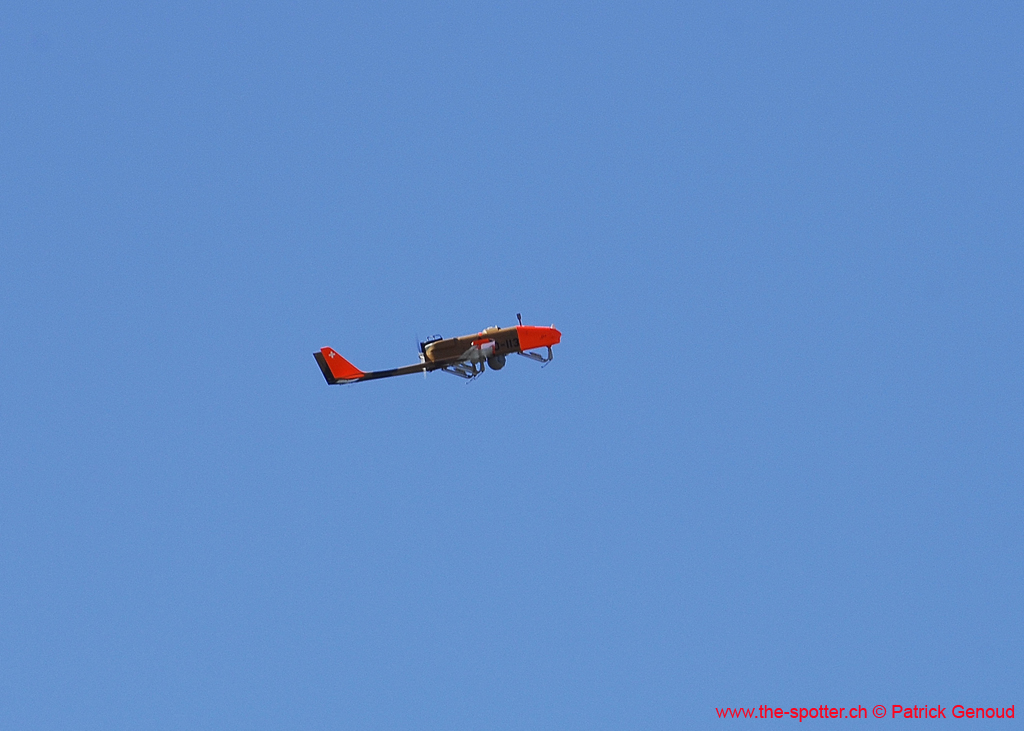 epervier-09-07-08-113