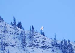 eurofighter-27-11-127