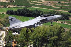 grippen-13-08-08-113