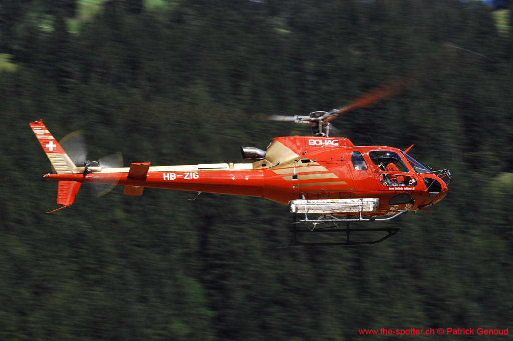 hunterfest-09-08-08-225