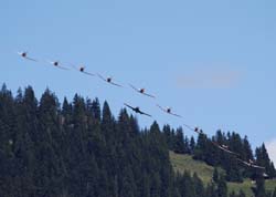 hunterfest-09-08-08-132