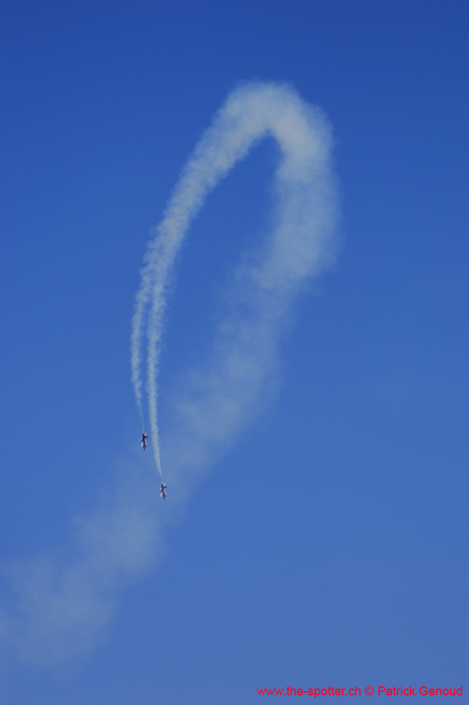 jpo-sion-26-09231