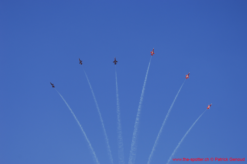jpo-sion-26-09252