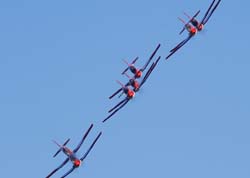 jpo-sion-26-09141