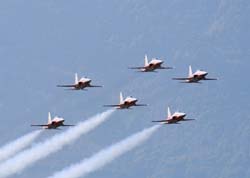 jpo-sion-26-09173