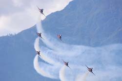 jpo-sion-26-09178