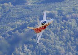 jpo-sion-26-09236