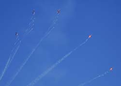 jpo-sion-26-09251