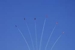 jpo-sion-26-09252