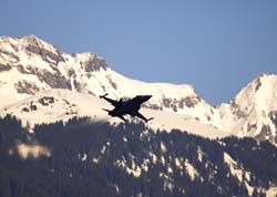 wef-25-01-08-245