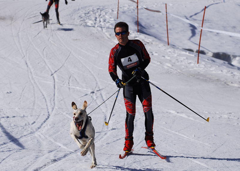 musher103031508