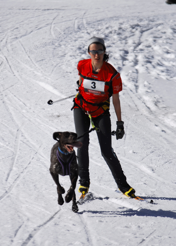 musher105031508
