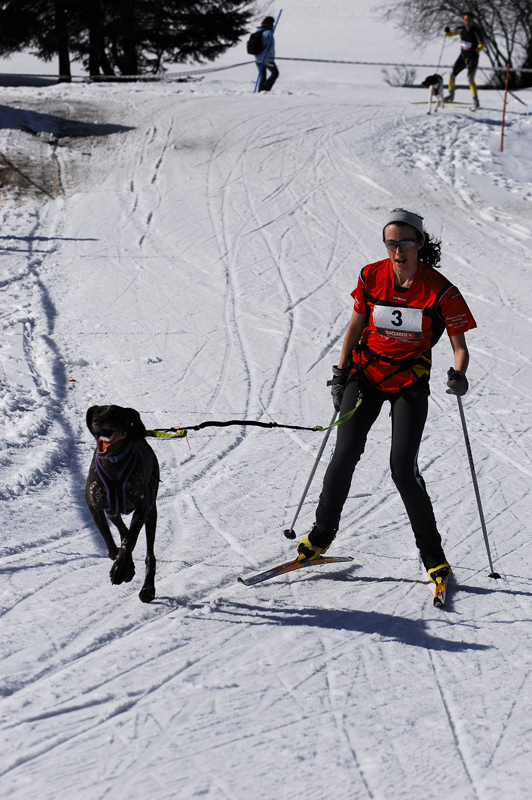 musher106031508