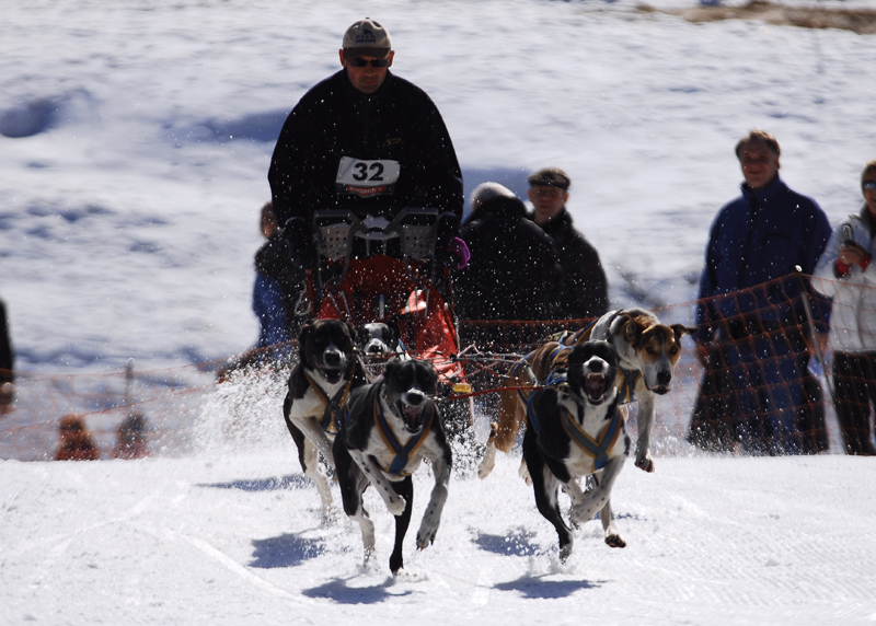 musher111031508