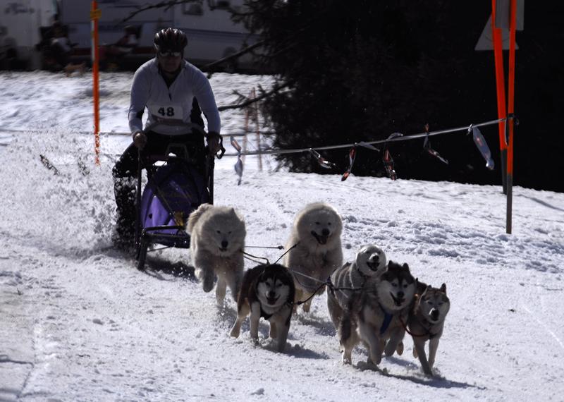musher140031508