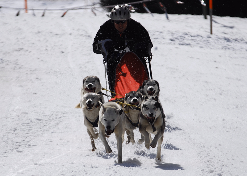 musher152031508