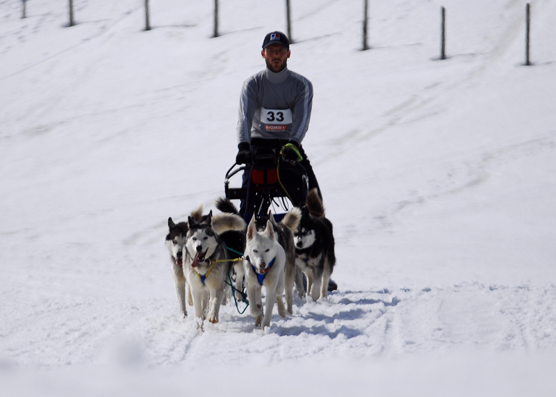 musher157031508