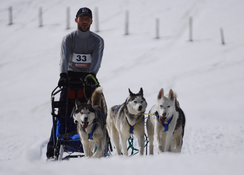 musher158031508