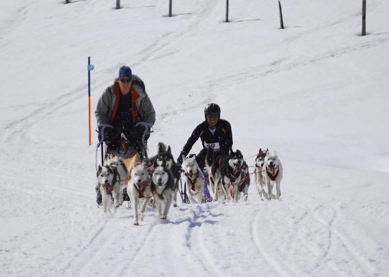 musher167031508