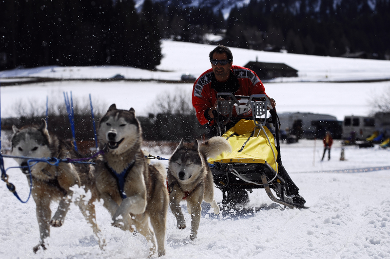 musher192031508