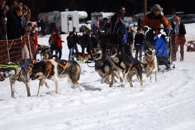 musher203031508