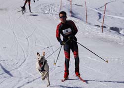 musher103031508