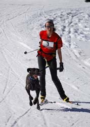 musher105031508