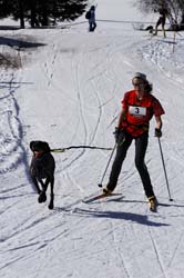 musher106031508