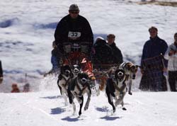 musher111031508